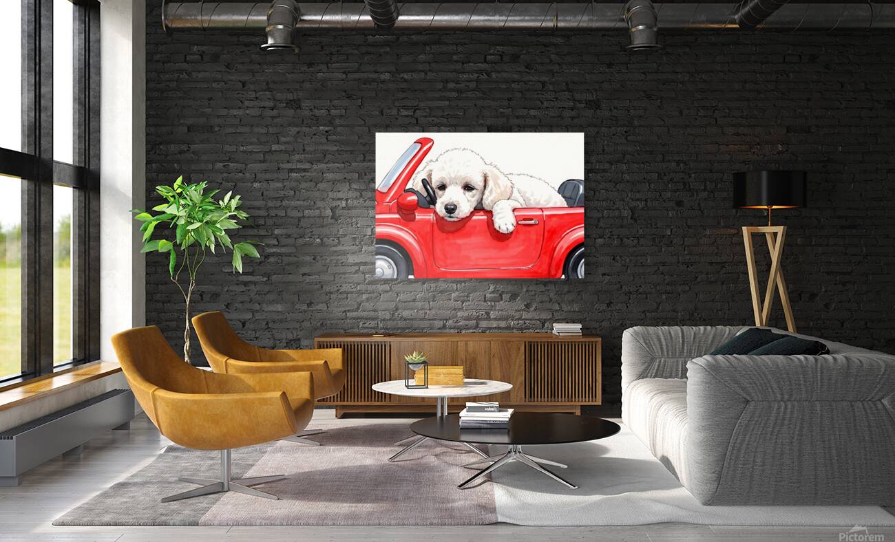 Sleepy Poodle Puppy Rests After Exciting Car Adventure Reproduction