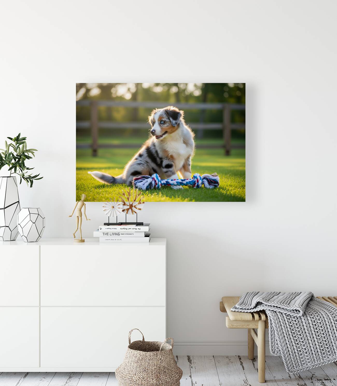 Australian Shepherd Puppy Discovers Big Chew Toy Reproduction