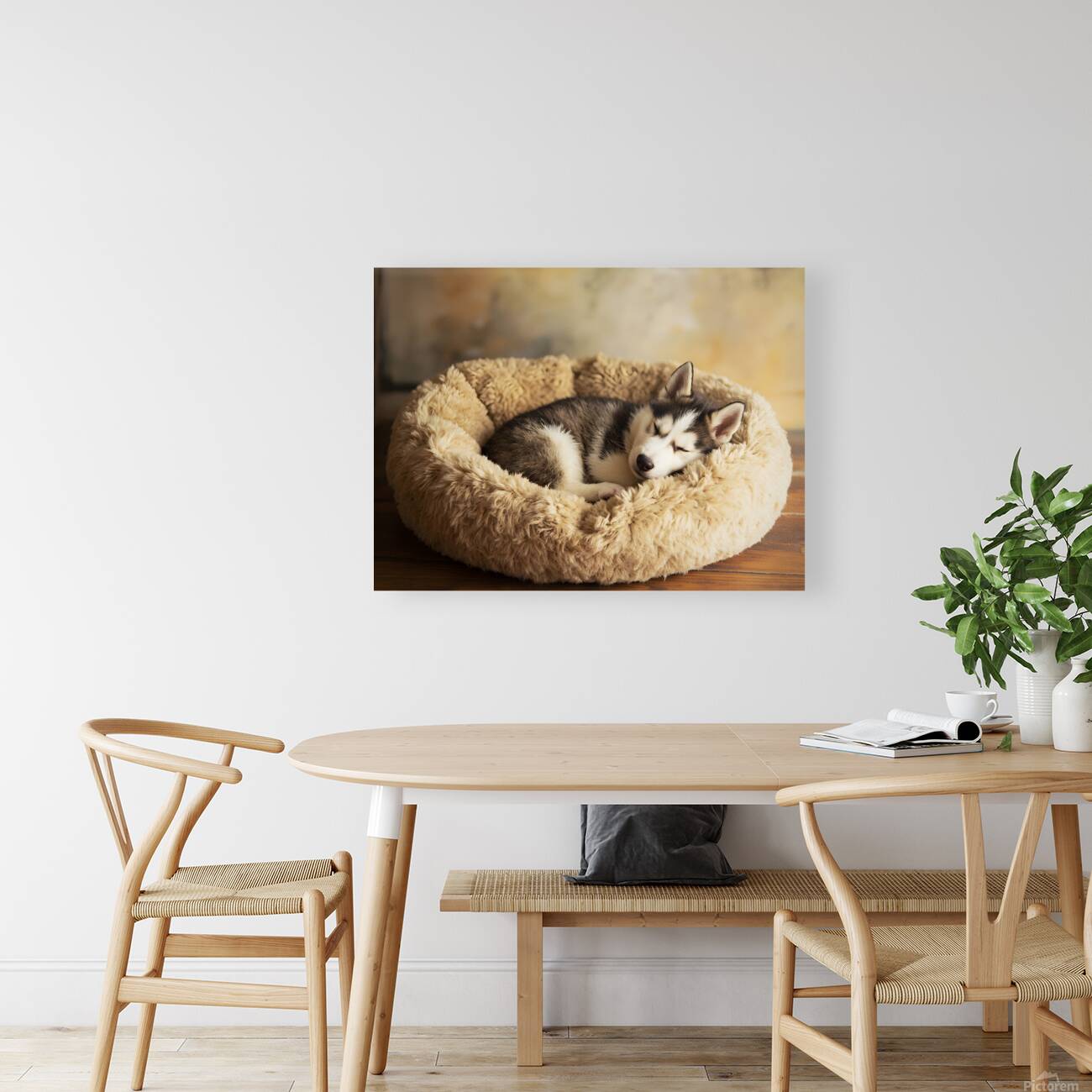 Sleepy Husky Puppy Napping In Corner Of Giant Bed Reproduction