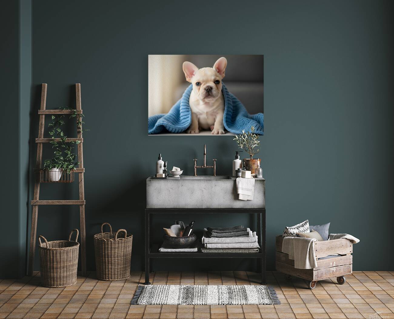 French Bulldog Puppy Snuggles With Favorite Blue Blanket Reproduction