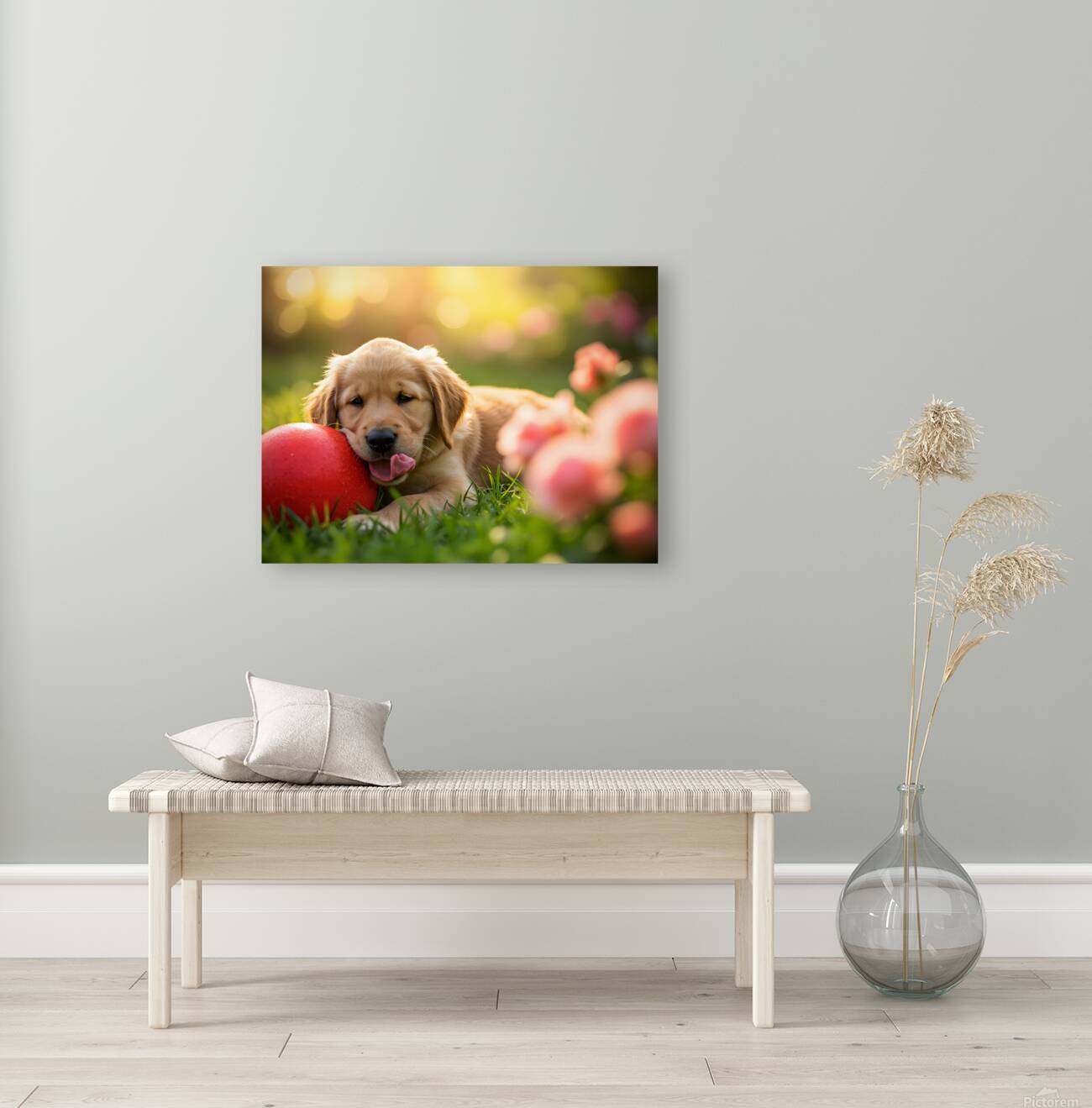 Exhausted Golden Retriever Puppy Rests Beside The Giant Ball Reproduction