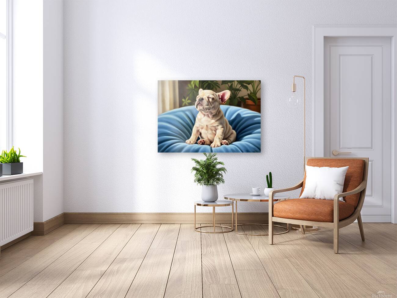 French Bulldog Puppy Sound Asleep Sitting Upright Reproduction