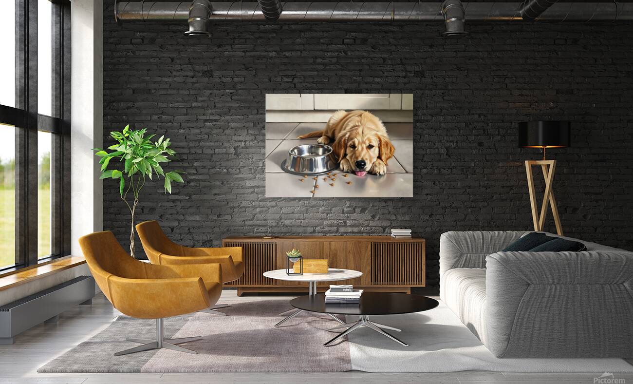 Satisfied Golden Retriever Puppy After Finishing Meal Reproduction