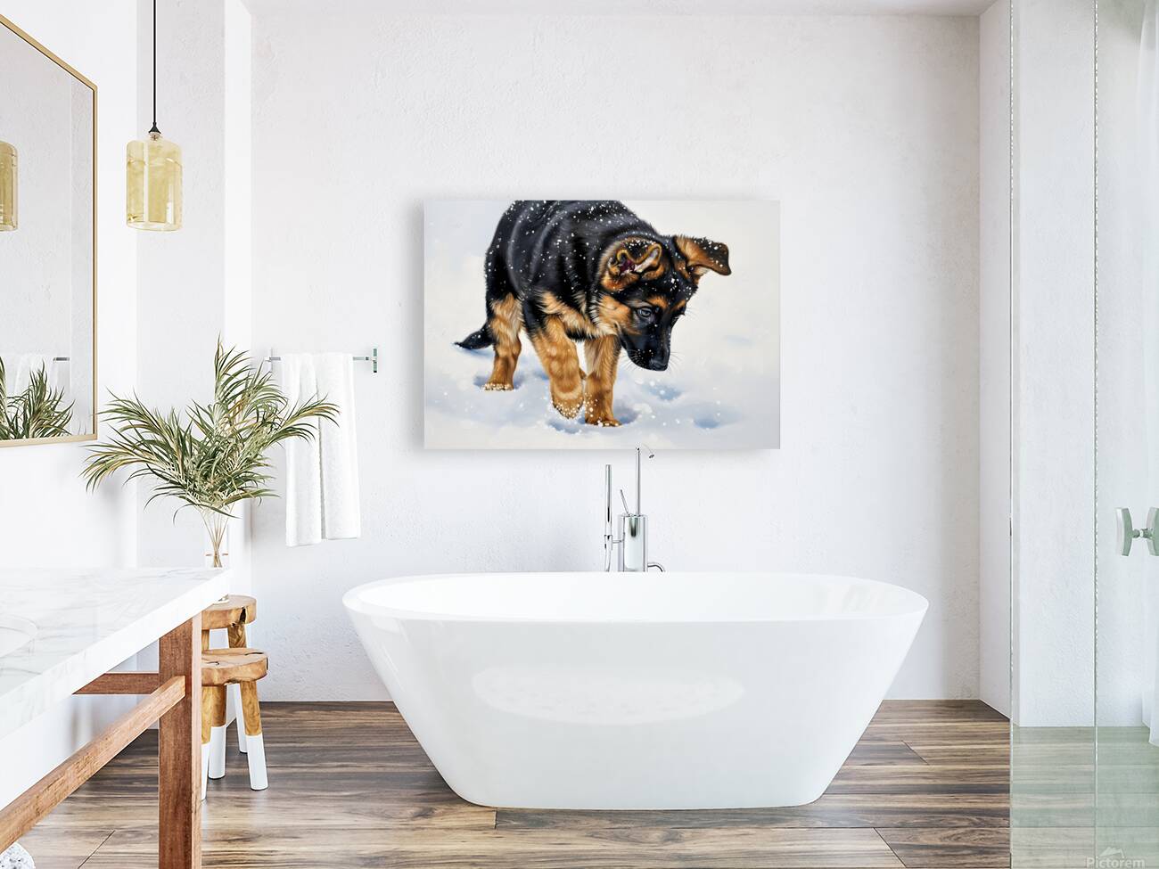 German Shepherd Puppy Discovers Fresh Snow Reproduction