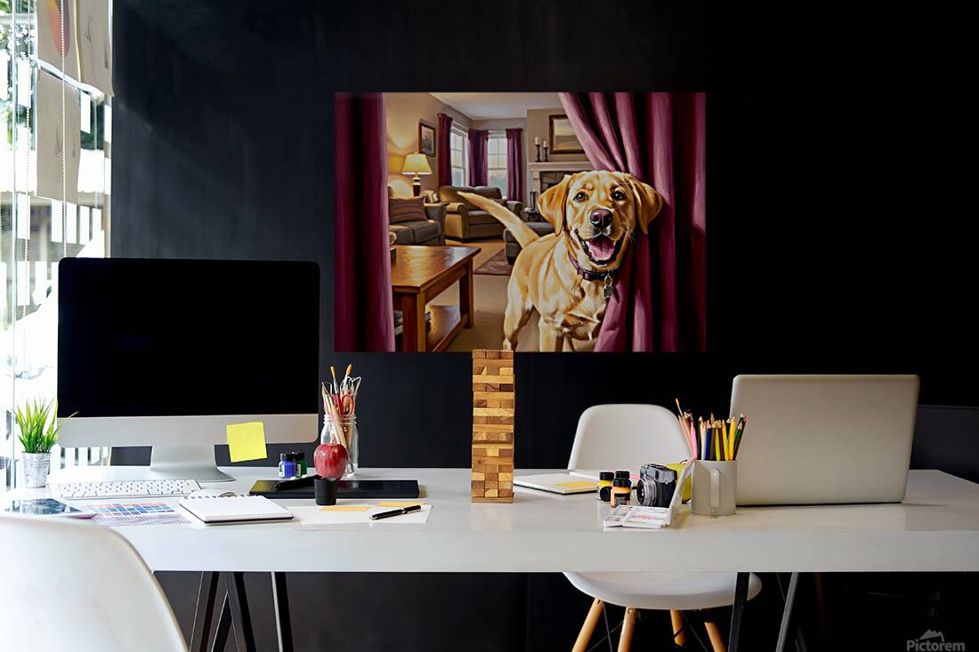 Happy Labrador Puppy Running From Dark Blue Curtains Reproduction