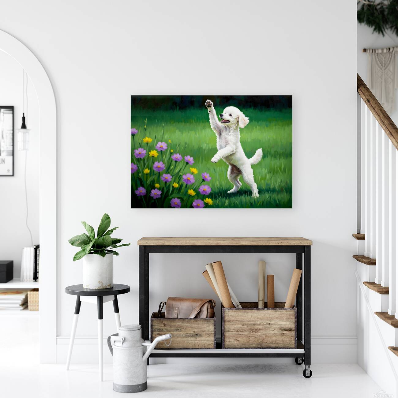 Excited Poodle Puppy Ready To Play Reproduction