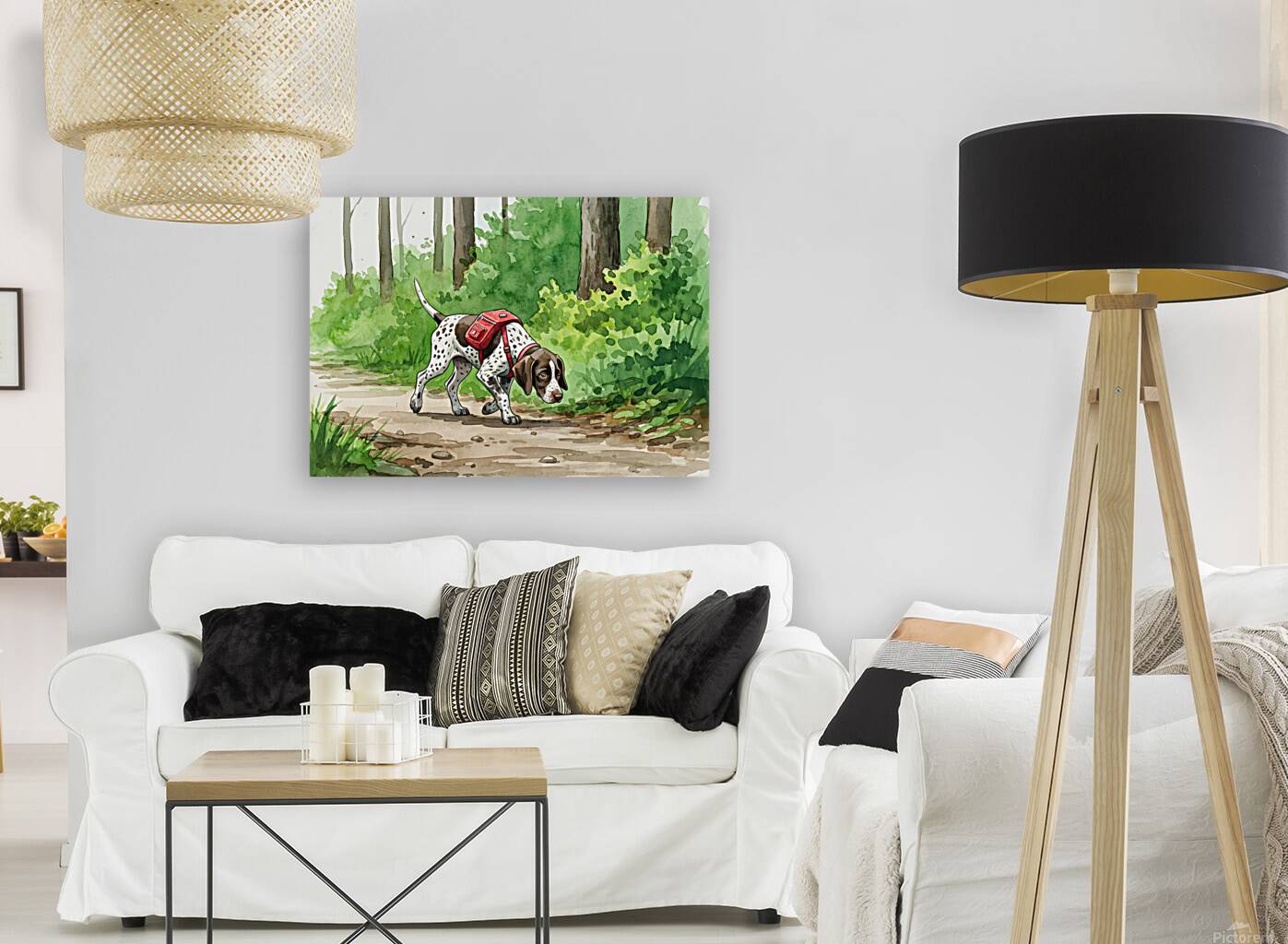 German Shorthaired Pointer Puppy Gets Ready For Adventure Reproduction