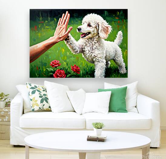 Triumphant Poodle Puppy Celebrates Success Reproduction