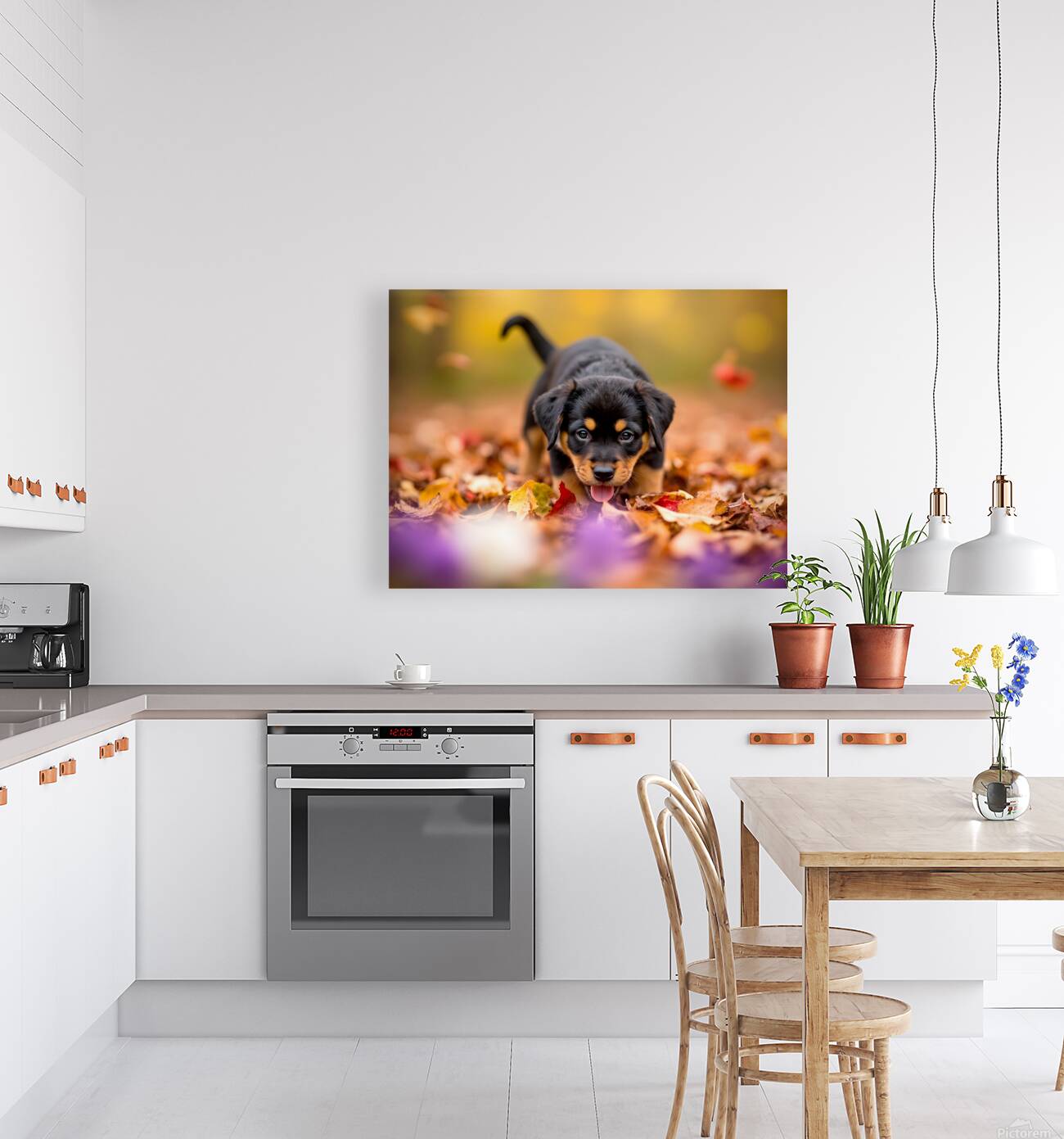 Rottweiler Puppy Discovers Autumn Leaf Pile Reproduction