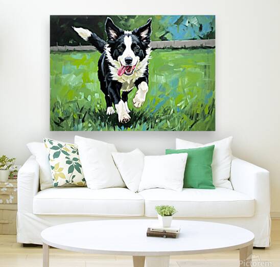 Border Collie Puppy Ready To Chase Reproduction