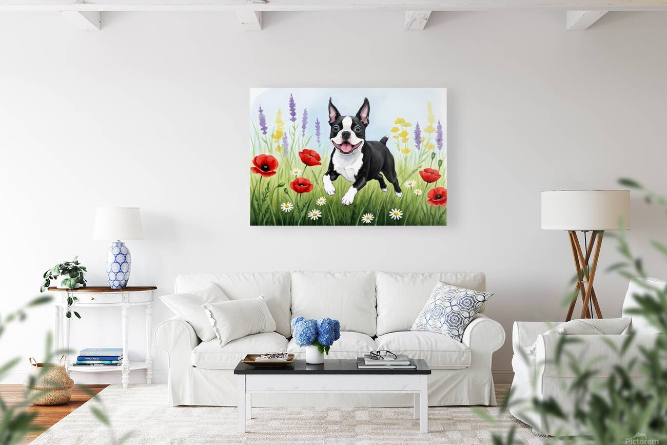 Boston Terrier Puppy Discovers Wildflower Meadow Reproduction