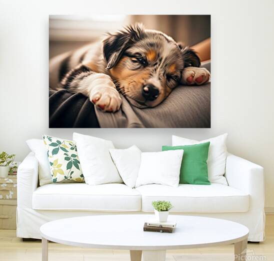 Alert Australian Shepherd Puppy Ready To Play Reproduction