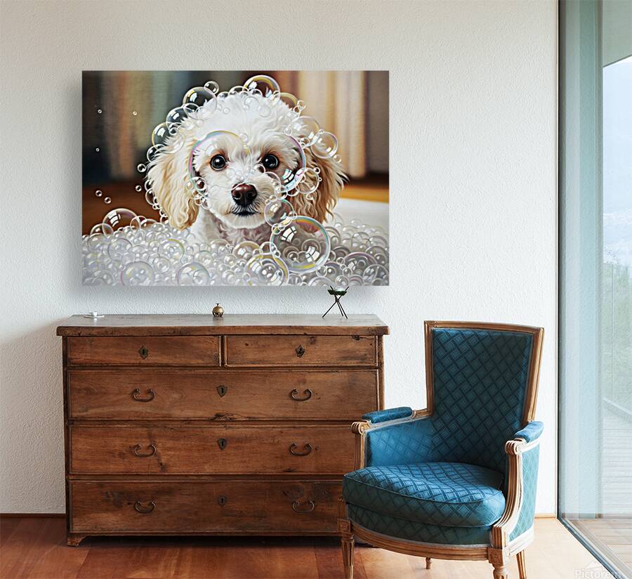 Happy Poodle Puppy After Bubble Adventure Reproduction