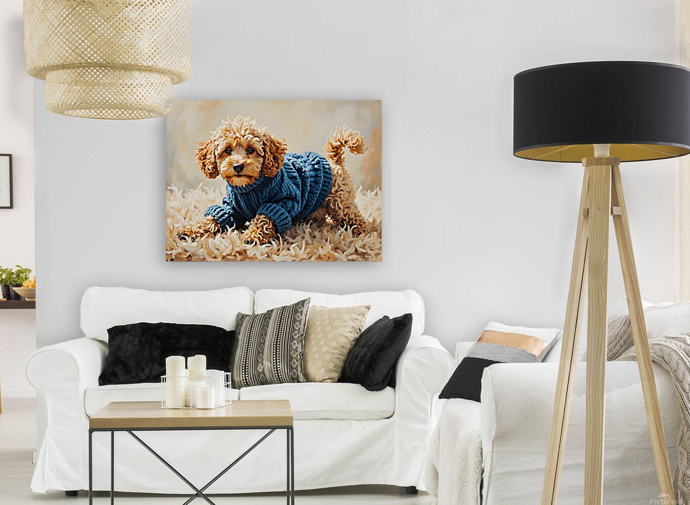 Poodle Puppys Sweater Adventure Begins Reproduction