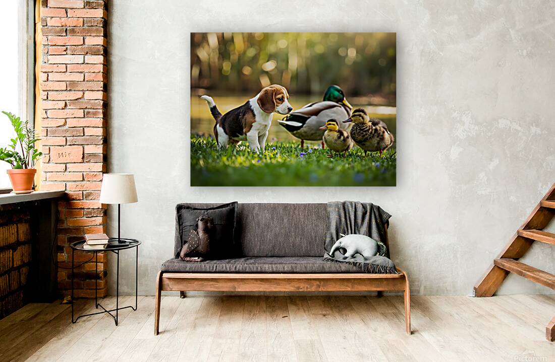 Beagle Puppys Peaceful Moment With Duck Friends Reproduction