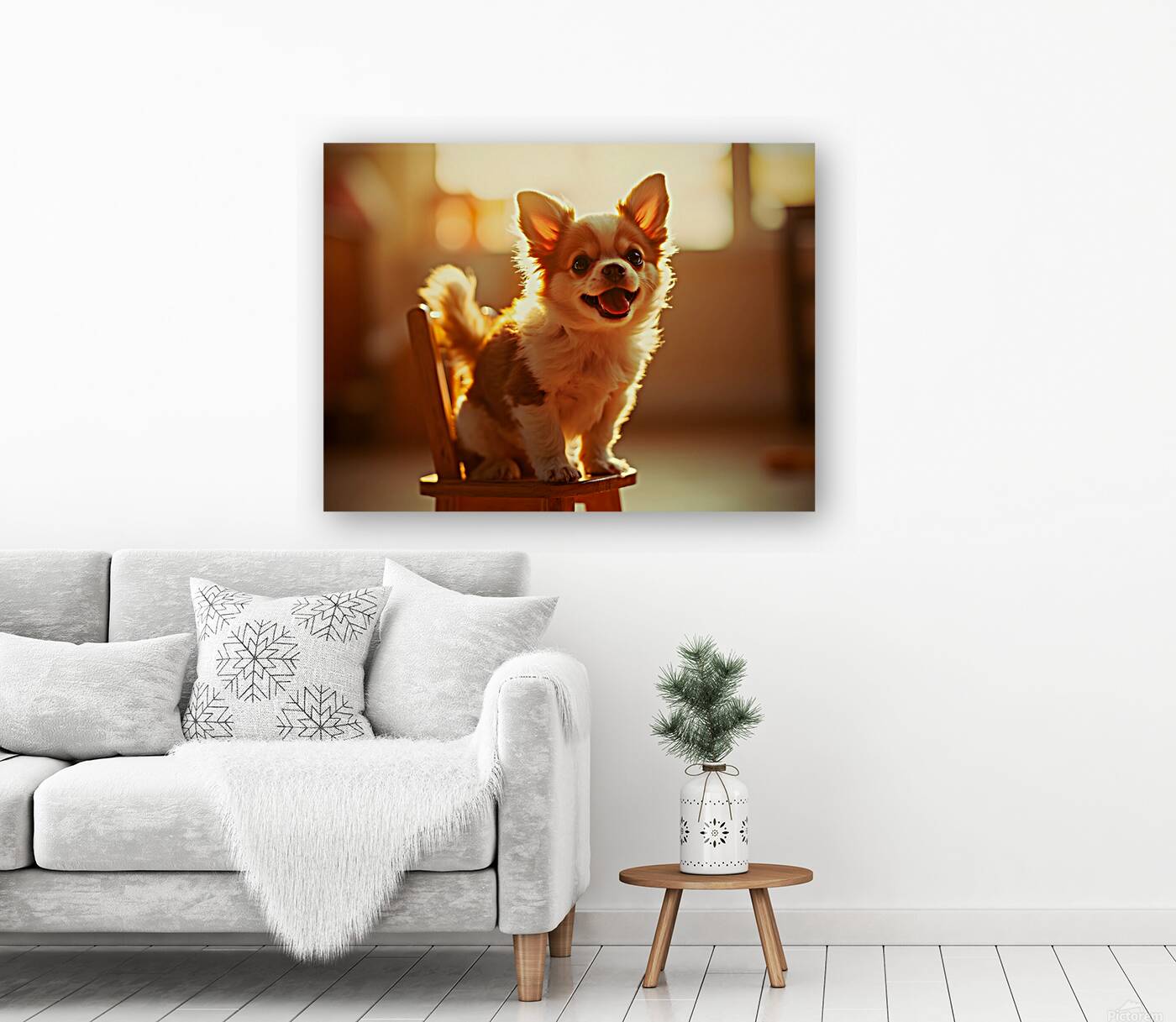 Chihuahua Puppy Discovers The Perfect Rocking Chair Reproduction