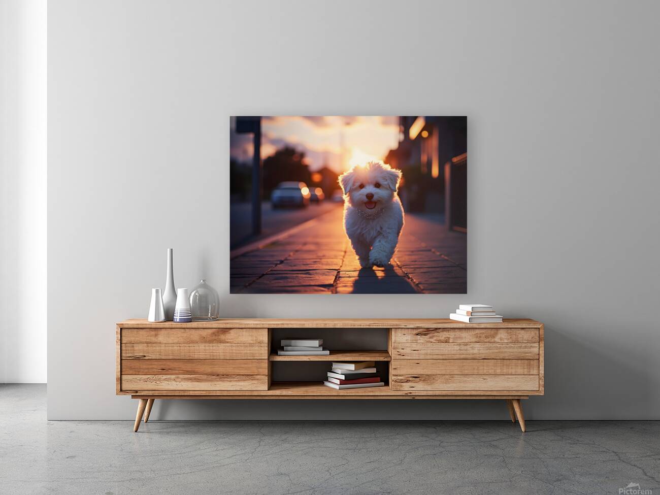 Bichon Frise Puppy Gets Ready For Night Out Reproduction