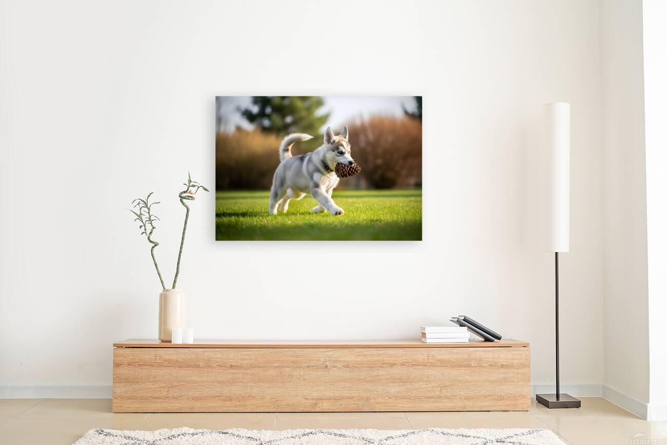 Siberian Husky Puppy Discovers Pinecone In Sunny Garden Reproduction