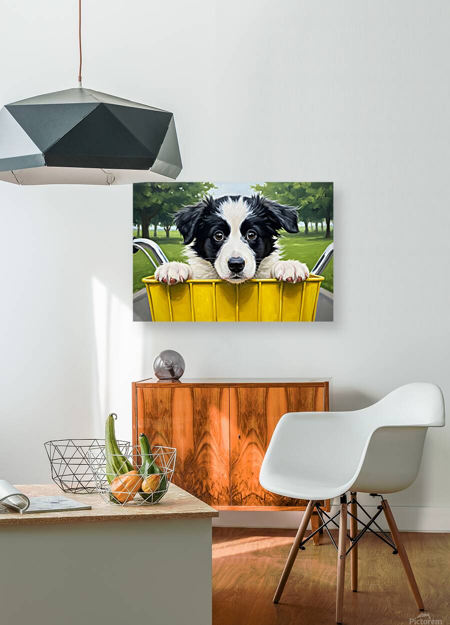 Border Collie Puppys First Bicycle Basket Adventure Begins Reproduction