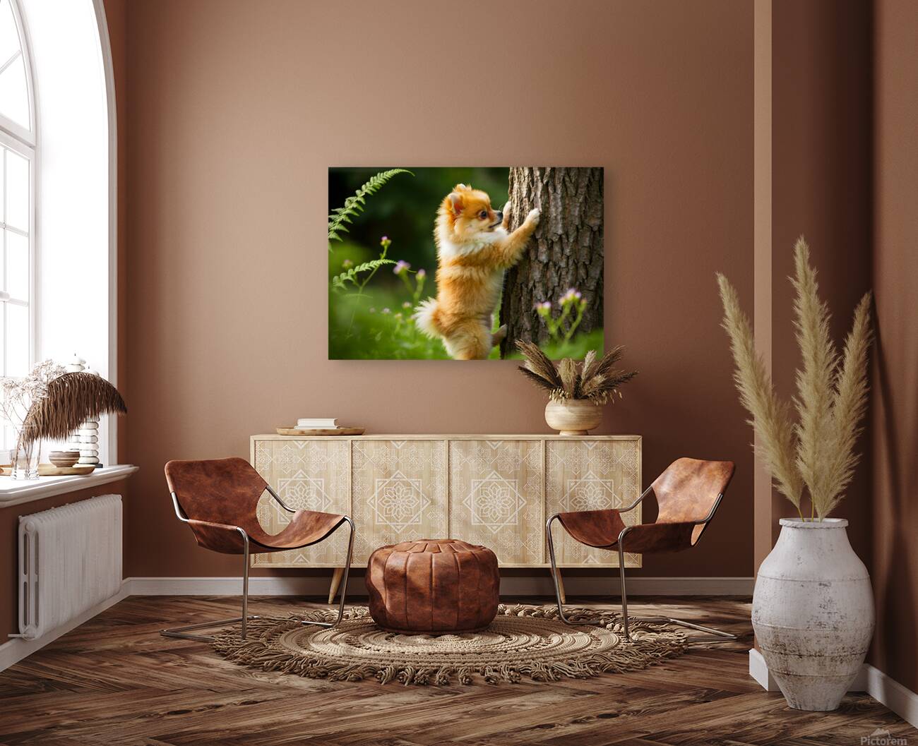 Pomeranian Puppy Discovers The Perfect Climbing Challenge Reproduction