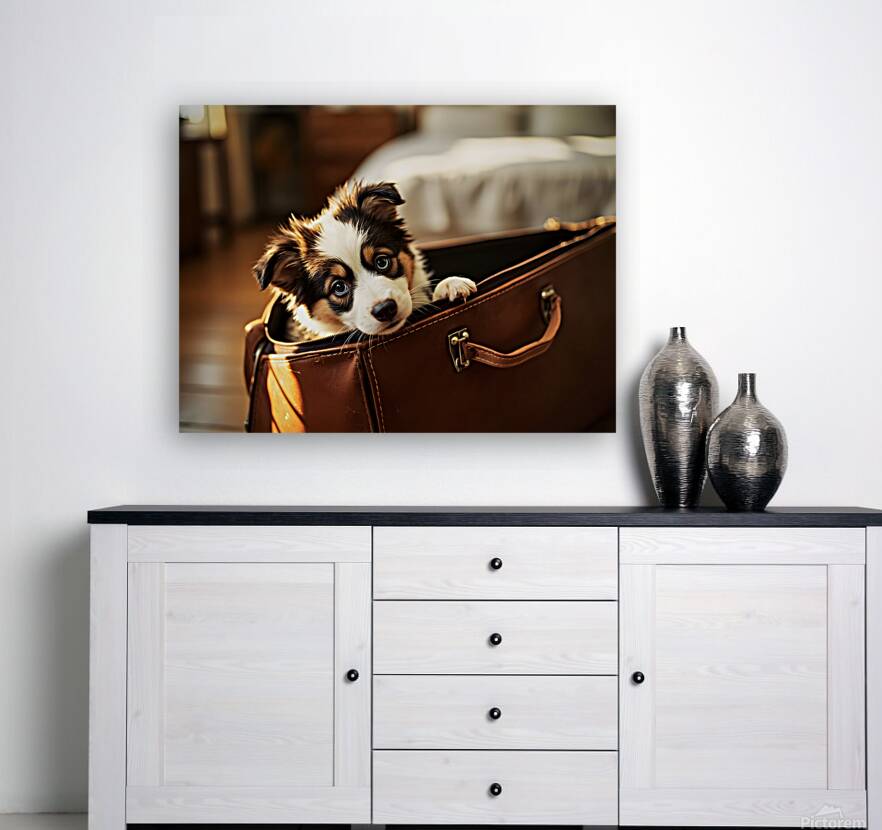 Australian Shepherd Puppy Discovers Perfect Hiding Spot Reproduction