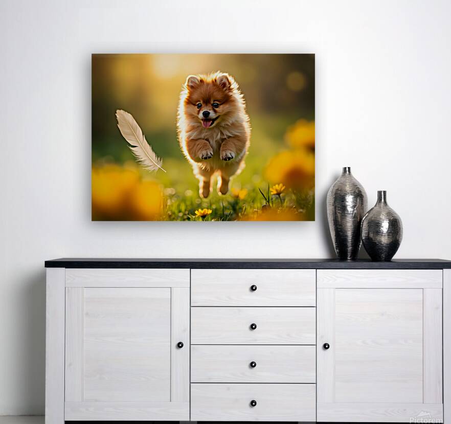 Feather Lands On Happy Pomeranian Puppy Reproduction