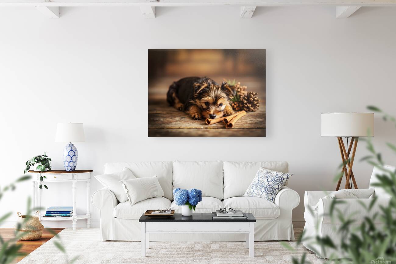 Happy Yorkshire Terrier Puppy With Nature Treasures Reproduction