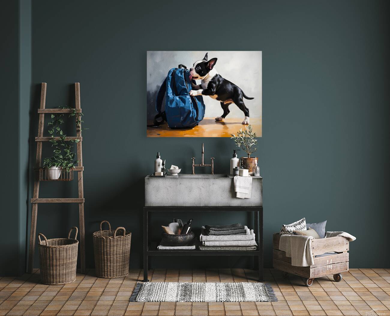 Boston Terrier Puppy Eyes The Backpack Challenge Reproduction