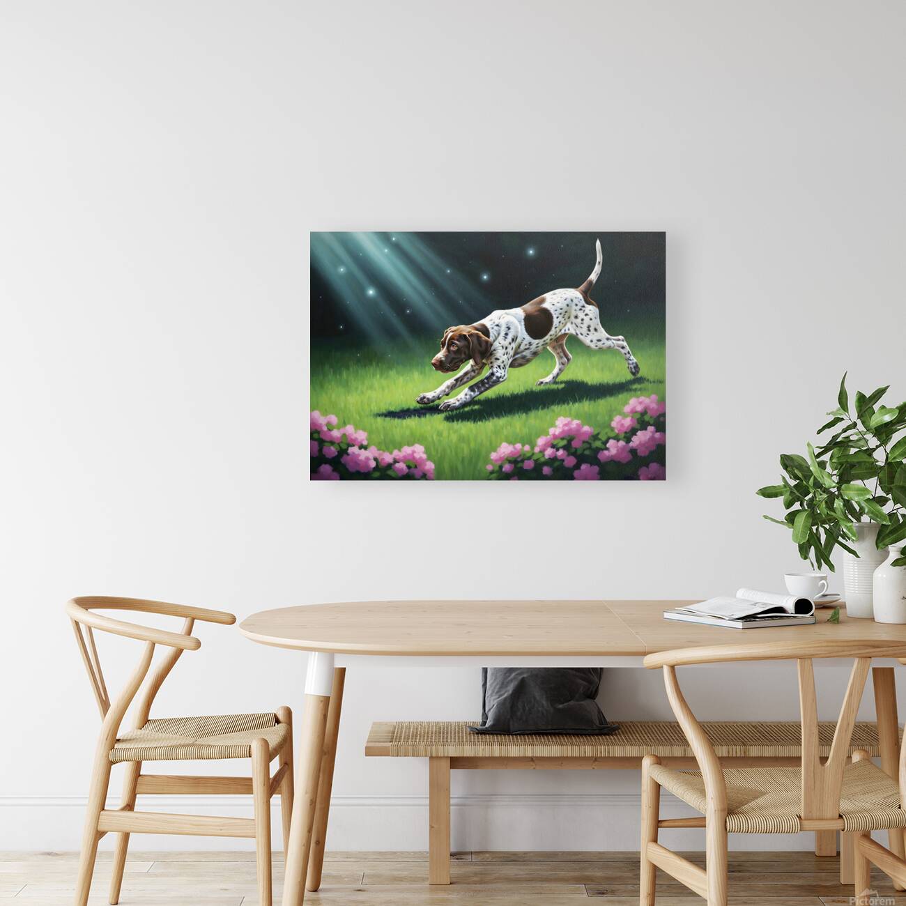 German Shorthaired Pointer Puppy Discovers Night Shadows Reproduction