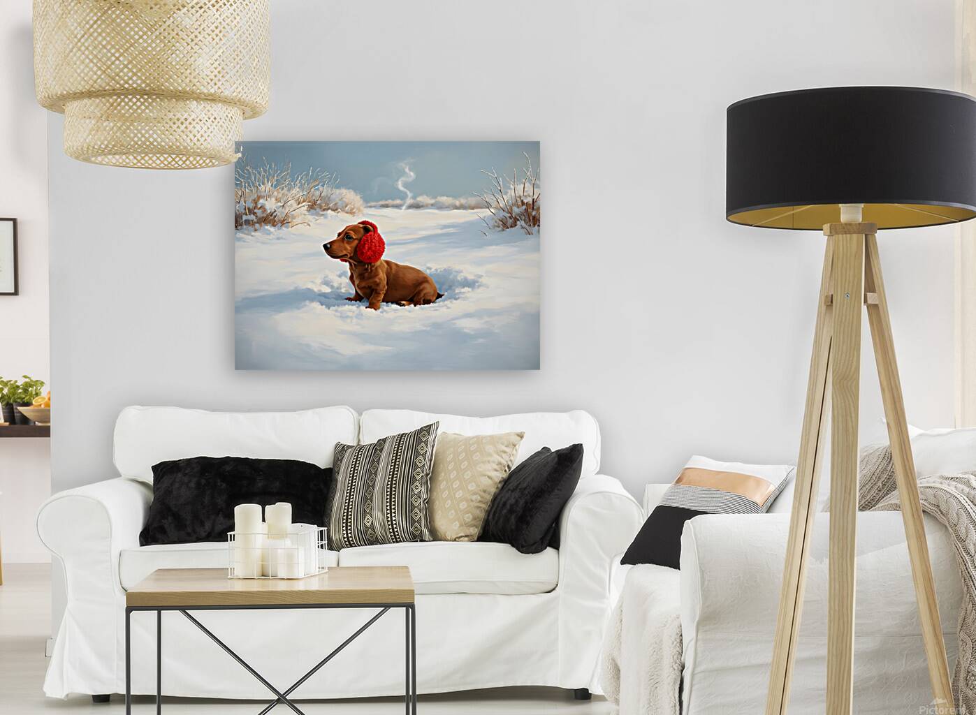 Dachshund Puppy Heads Home After Snowy Day Adventure Reproduction