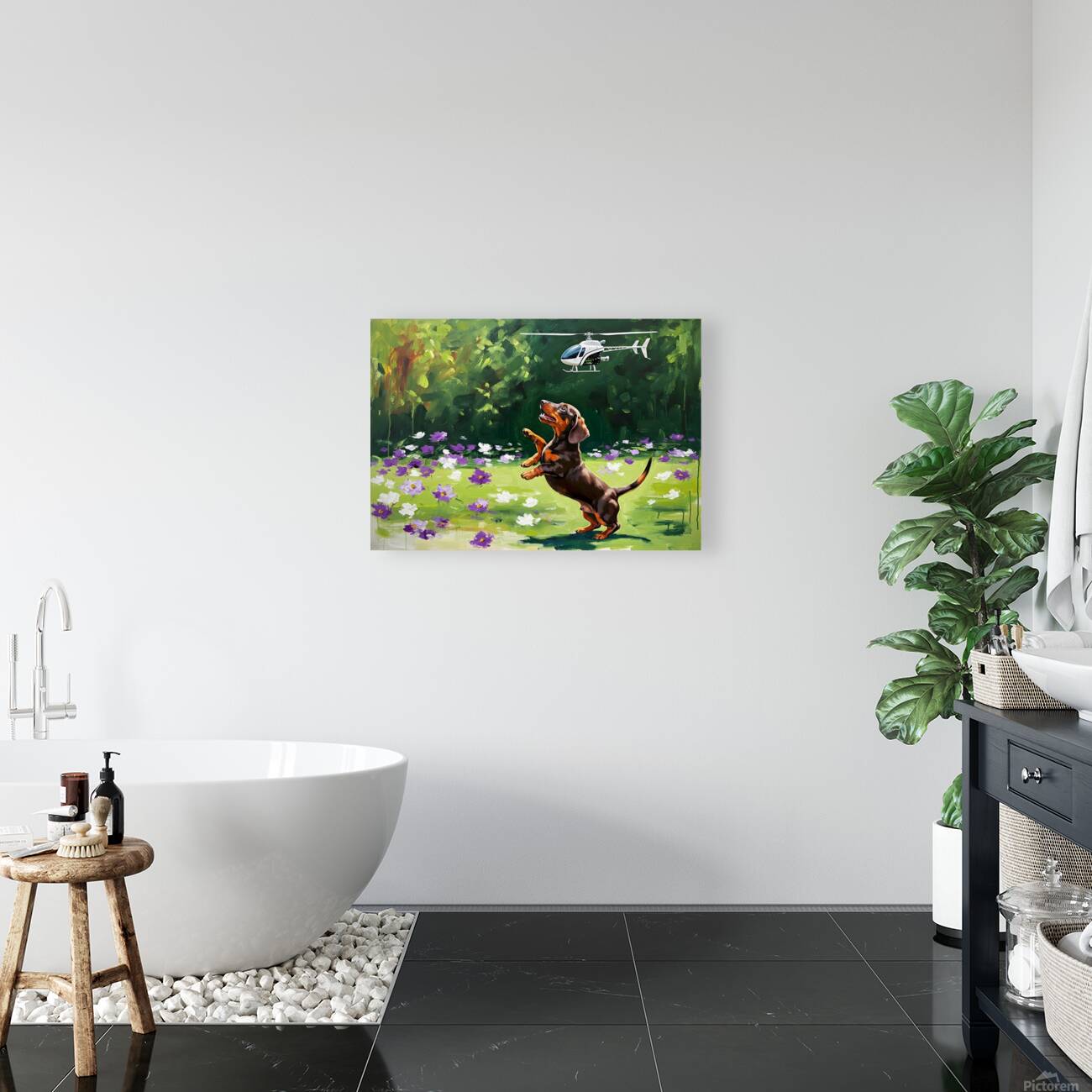 Dachshund Puppy Discovers Flying Toy Reproduction