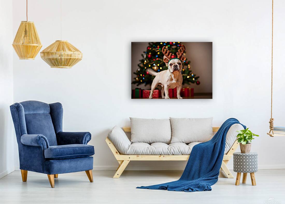 Tired Puppy Rests After Christmas Fun Reproduction