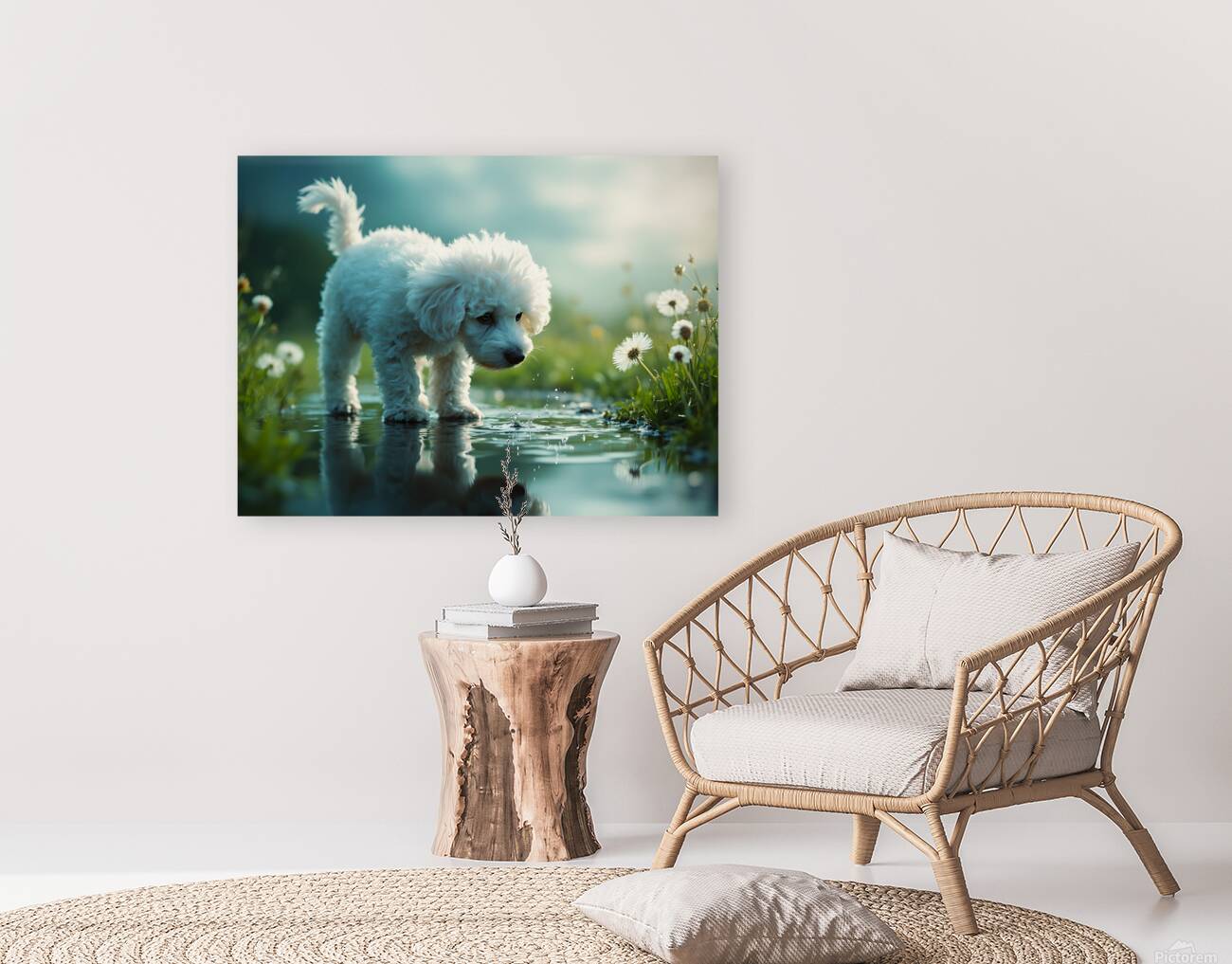 Poodle Puppy Discovers Her Reflection In A Puddle Reproduction