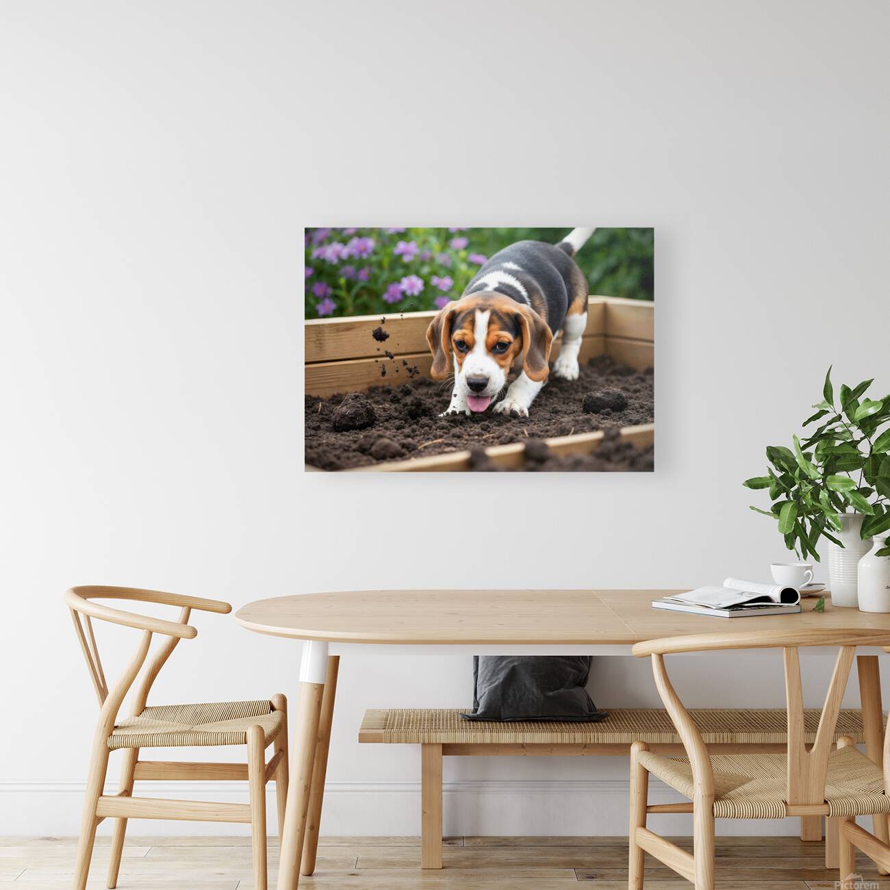 Beagle Puppy Enjoys Digging Success Reproduction