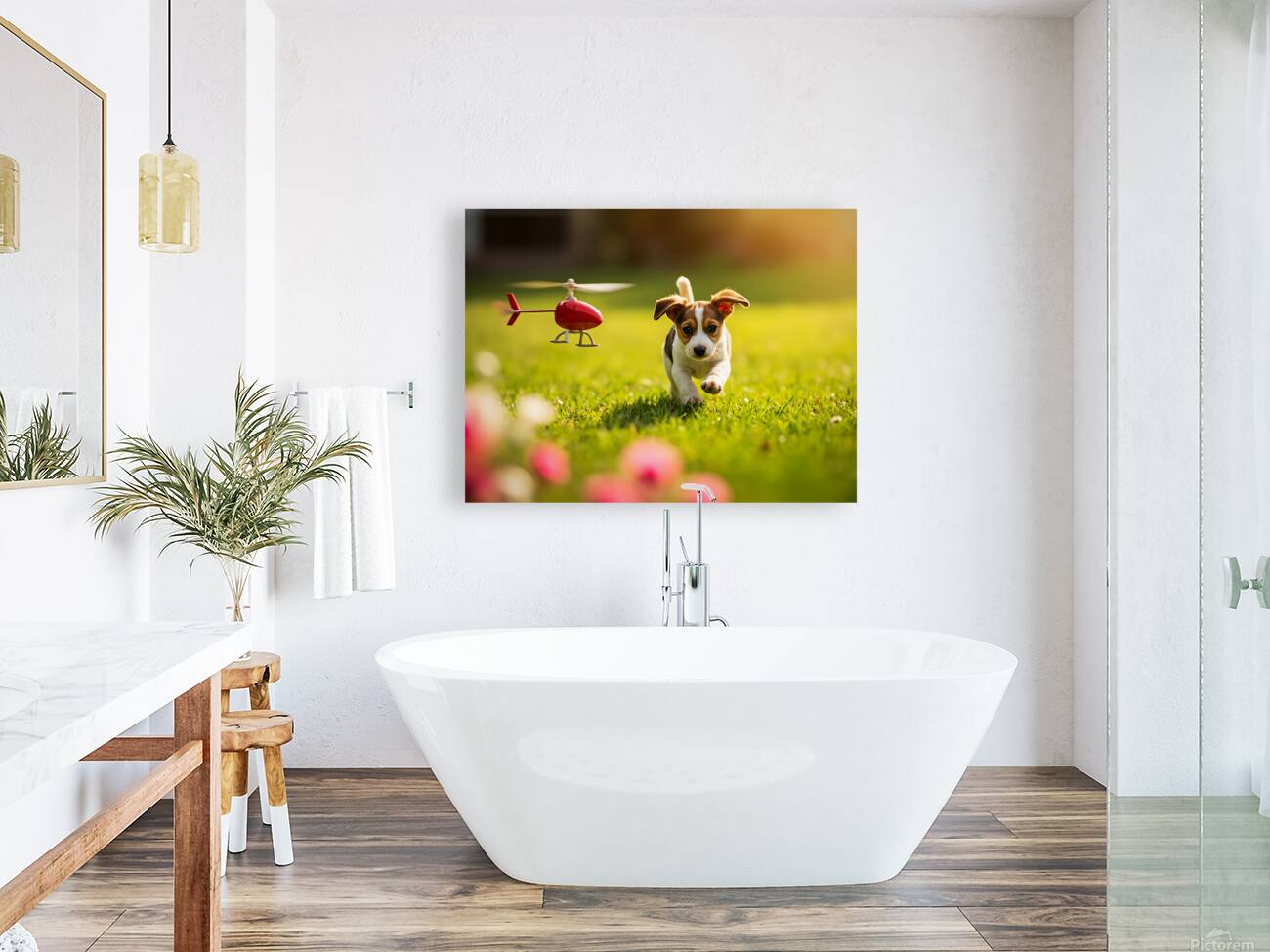 Beagle Puppy Rests After Helicopter Chase Reproduction