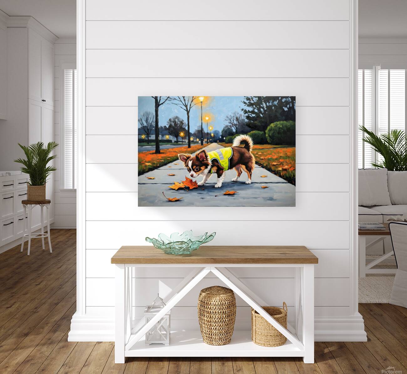 Chihuahua Puppy Ready For Evening Adventure Reproduction