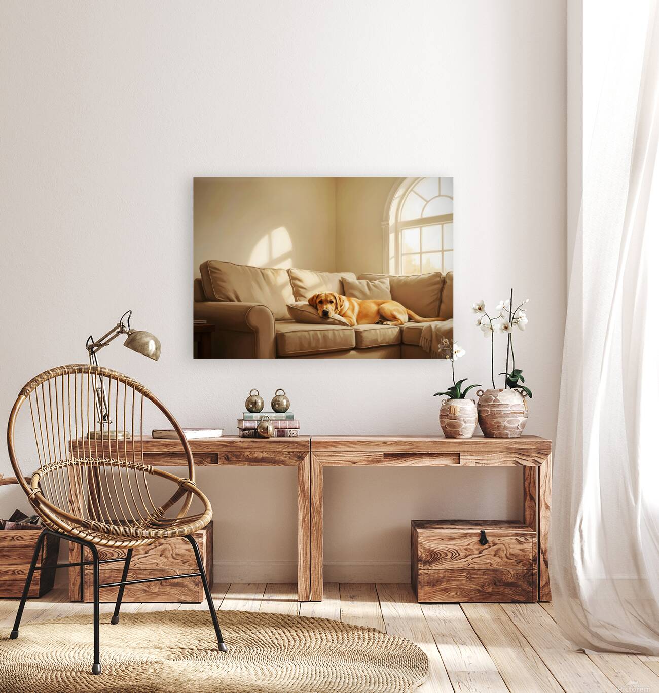 Sleepy Labrador Puppy Naps During Television Show Reproduction