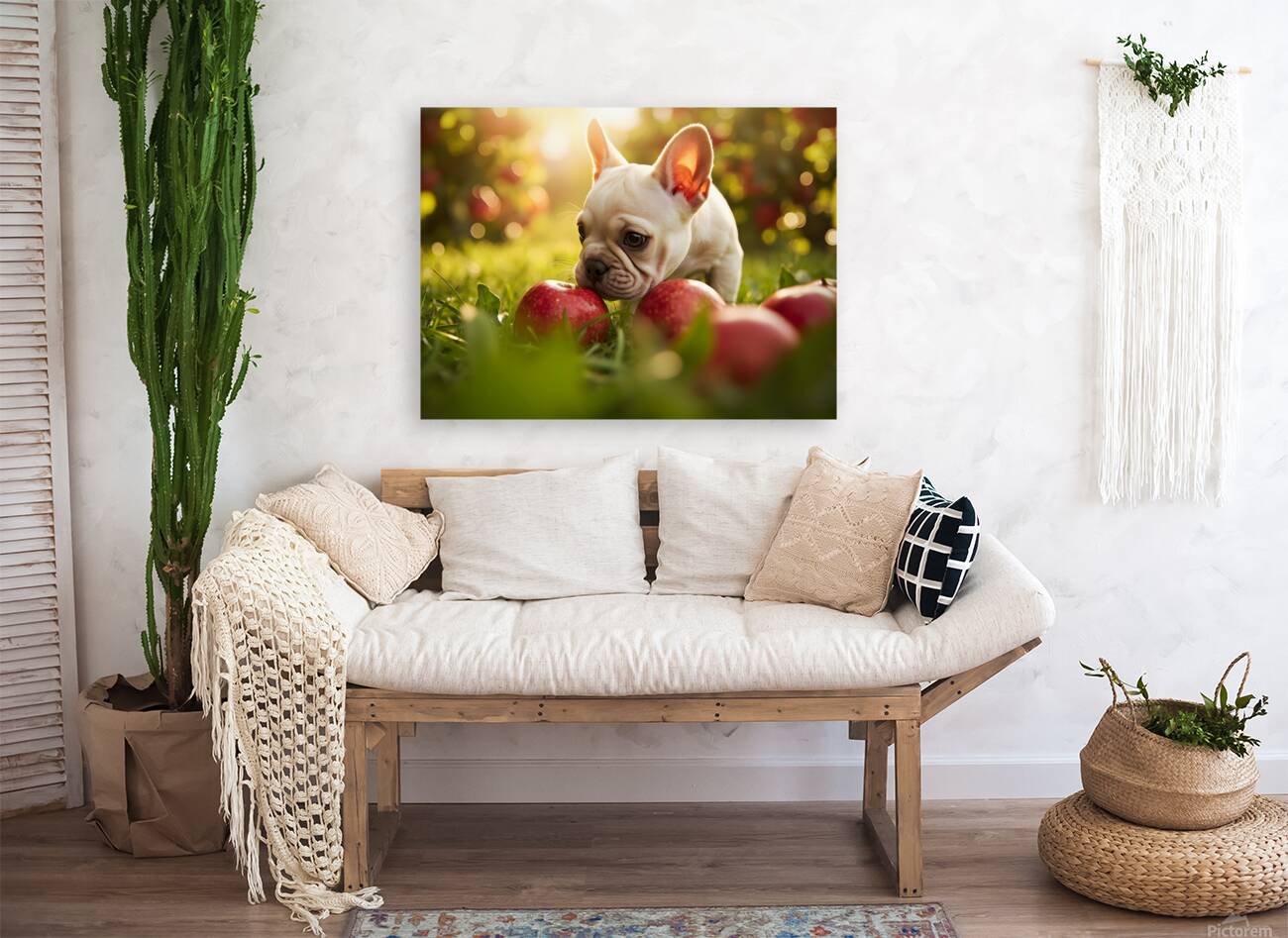 French Bulldog Puppy Discovers Apple Orchard Reproduction