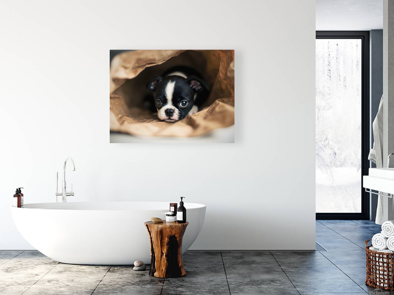 Boston Terrier Puppy Discovers Mysterious Shopping Bag Reproduction