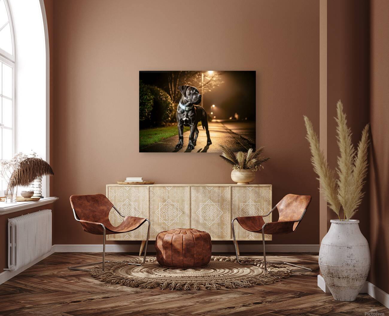 Cane Corso Puppy Returns Home After Night Out Reproduction