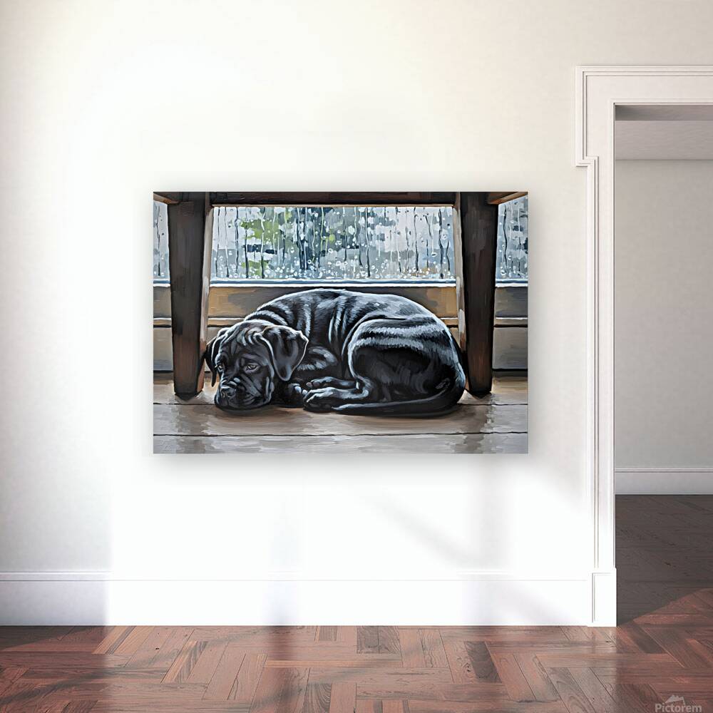 Brave Cane Corso Puppy Emerges From Hiding Reproduction