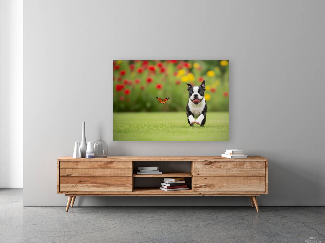 Boston Terrier Puppy And Butterfly Rest Together In Garden Reproduction