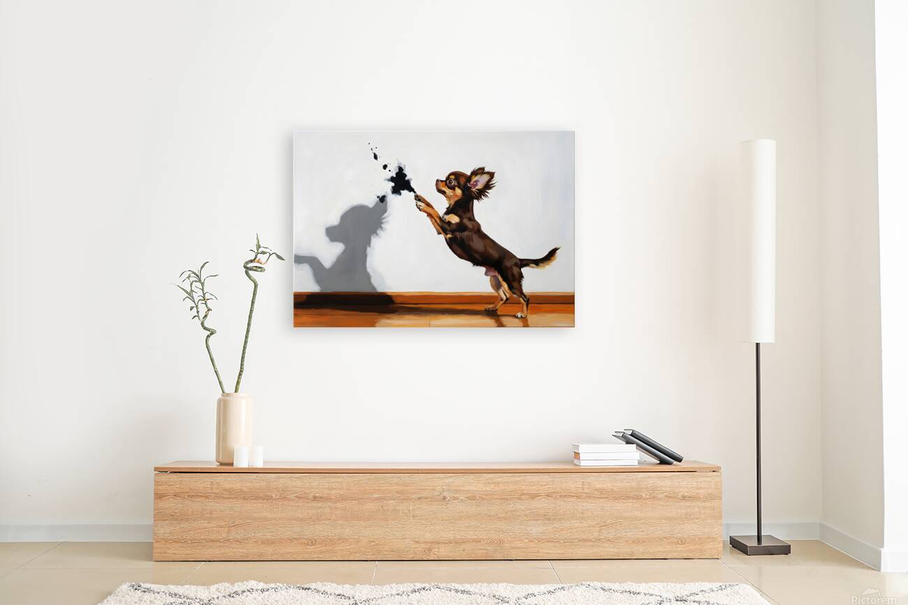 Confused Chihuahua Puppy After Shadow Chase Reproduction