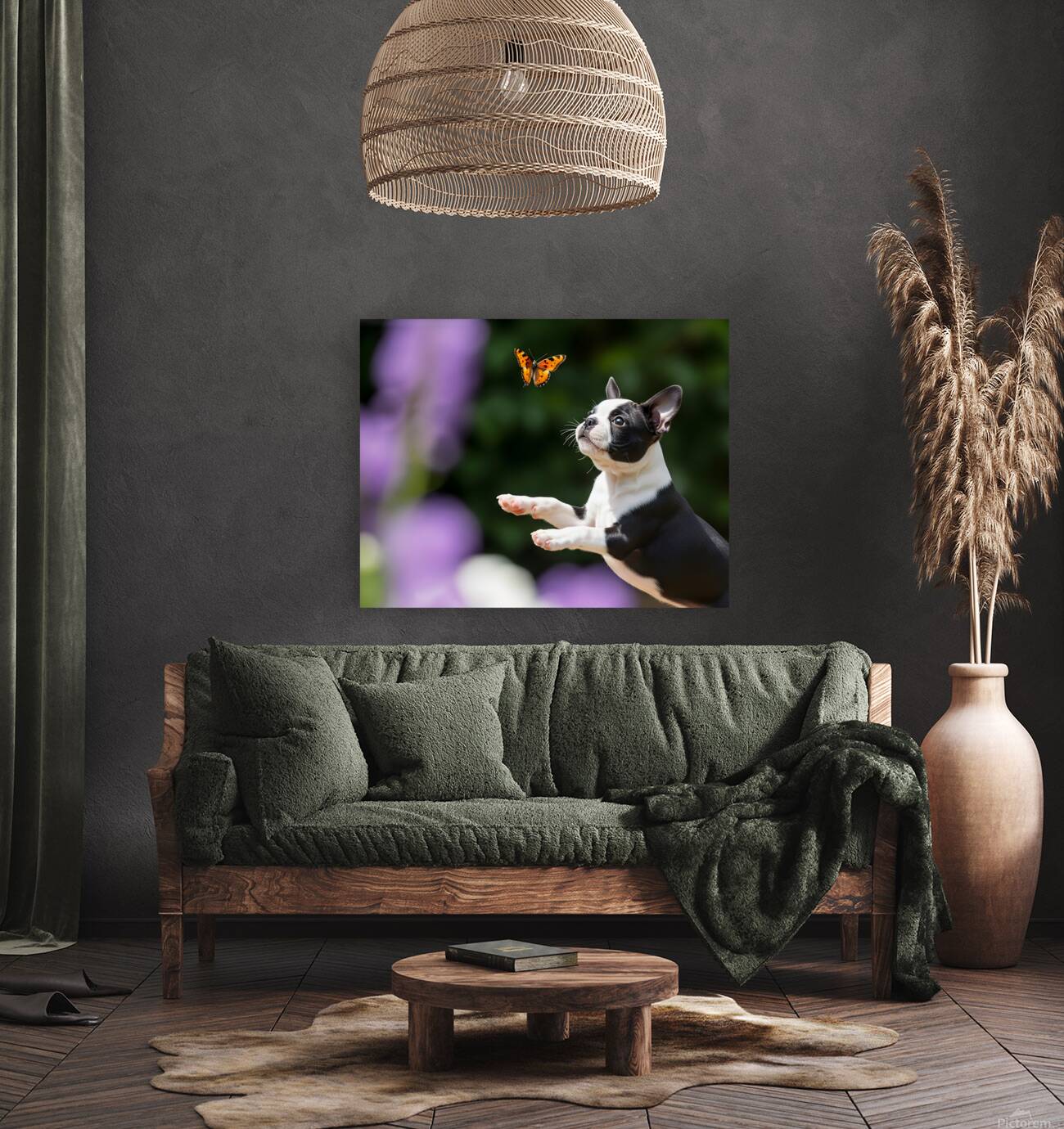 Boston Terrier Puppy Spots Butterfly In Garden Reproduction