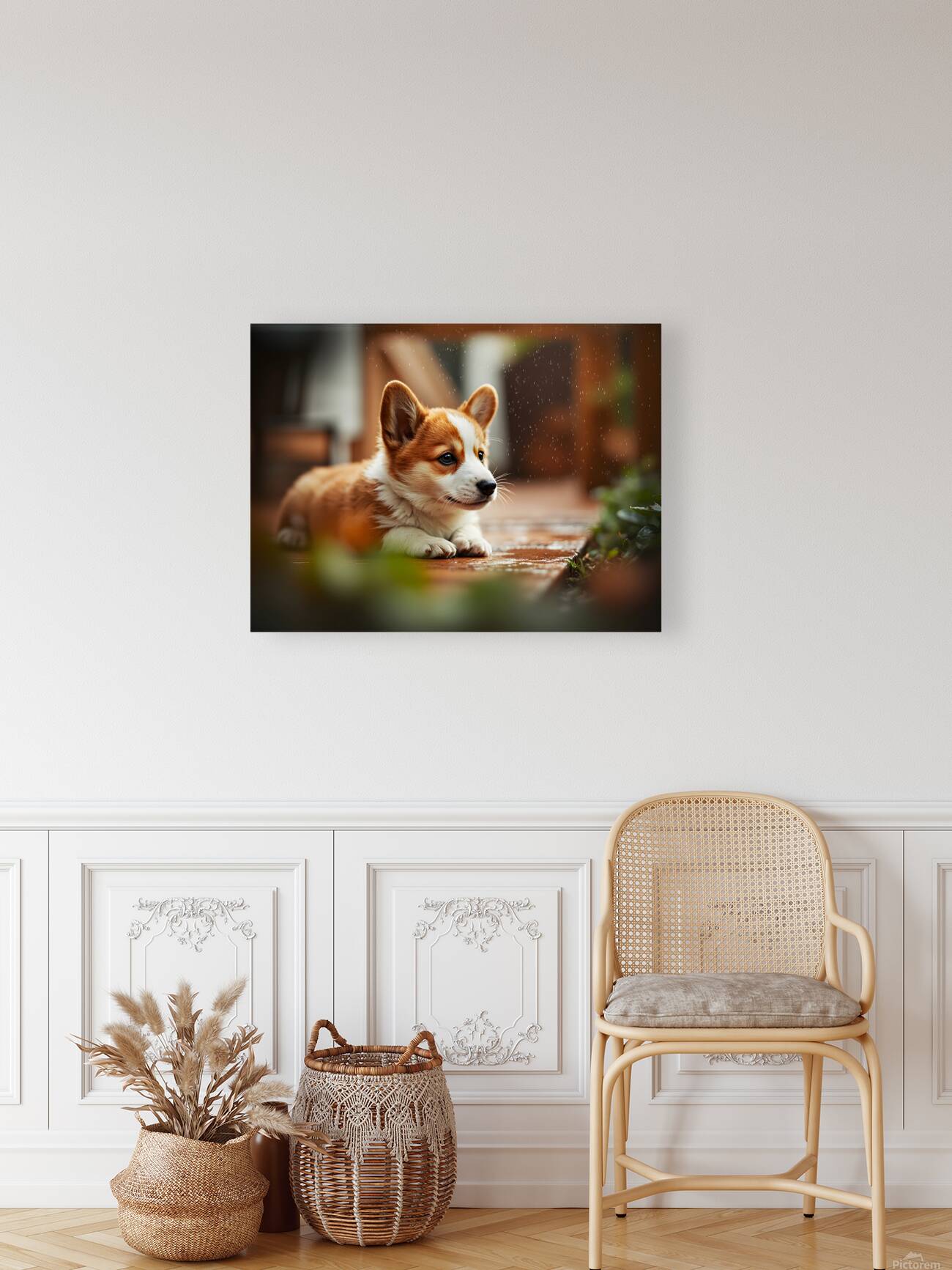 Corgi Puppy Takes Shelter From Heavy Rain Reproduction