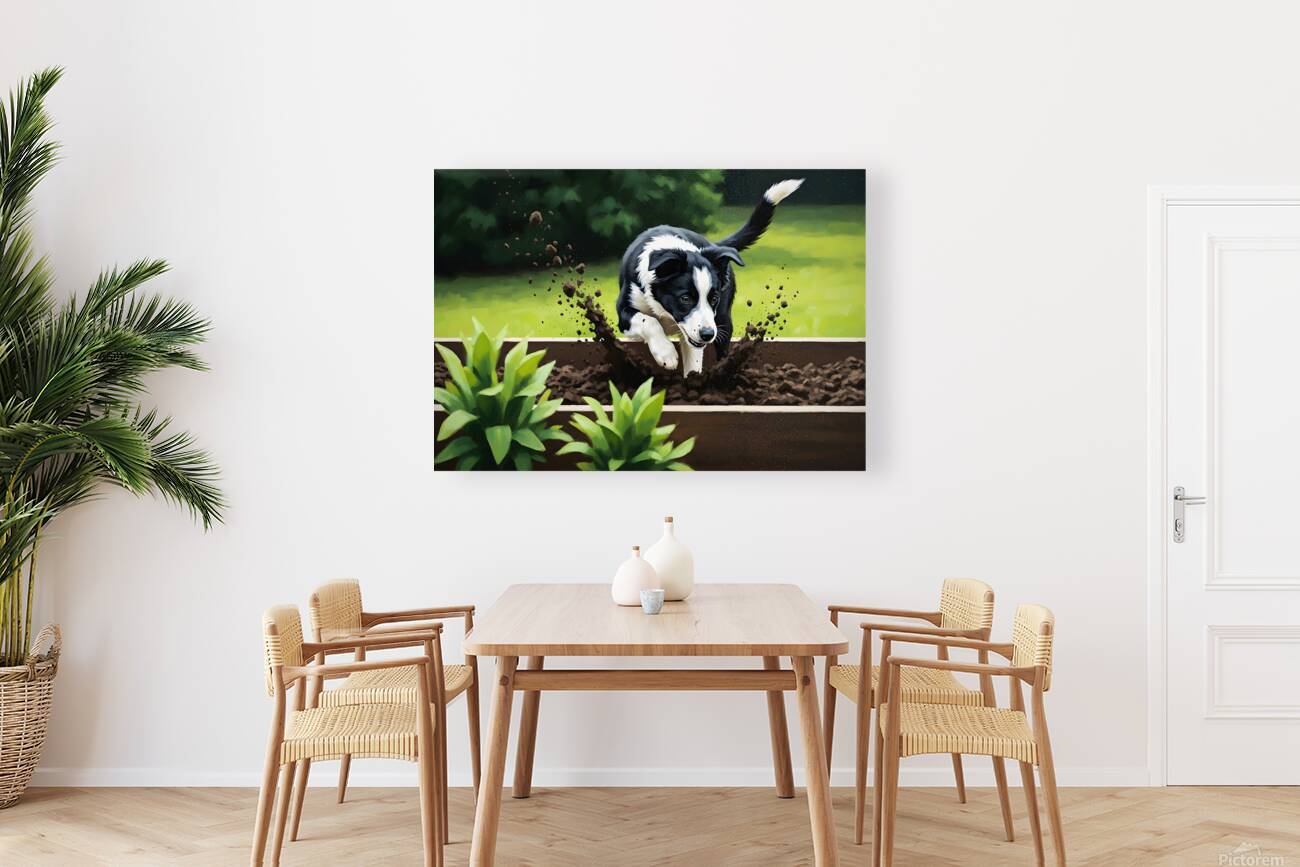 Border Collie Puppy Discovers Garden Bed Reproduction