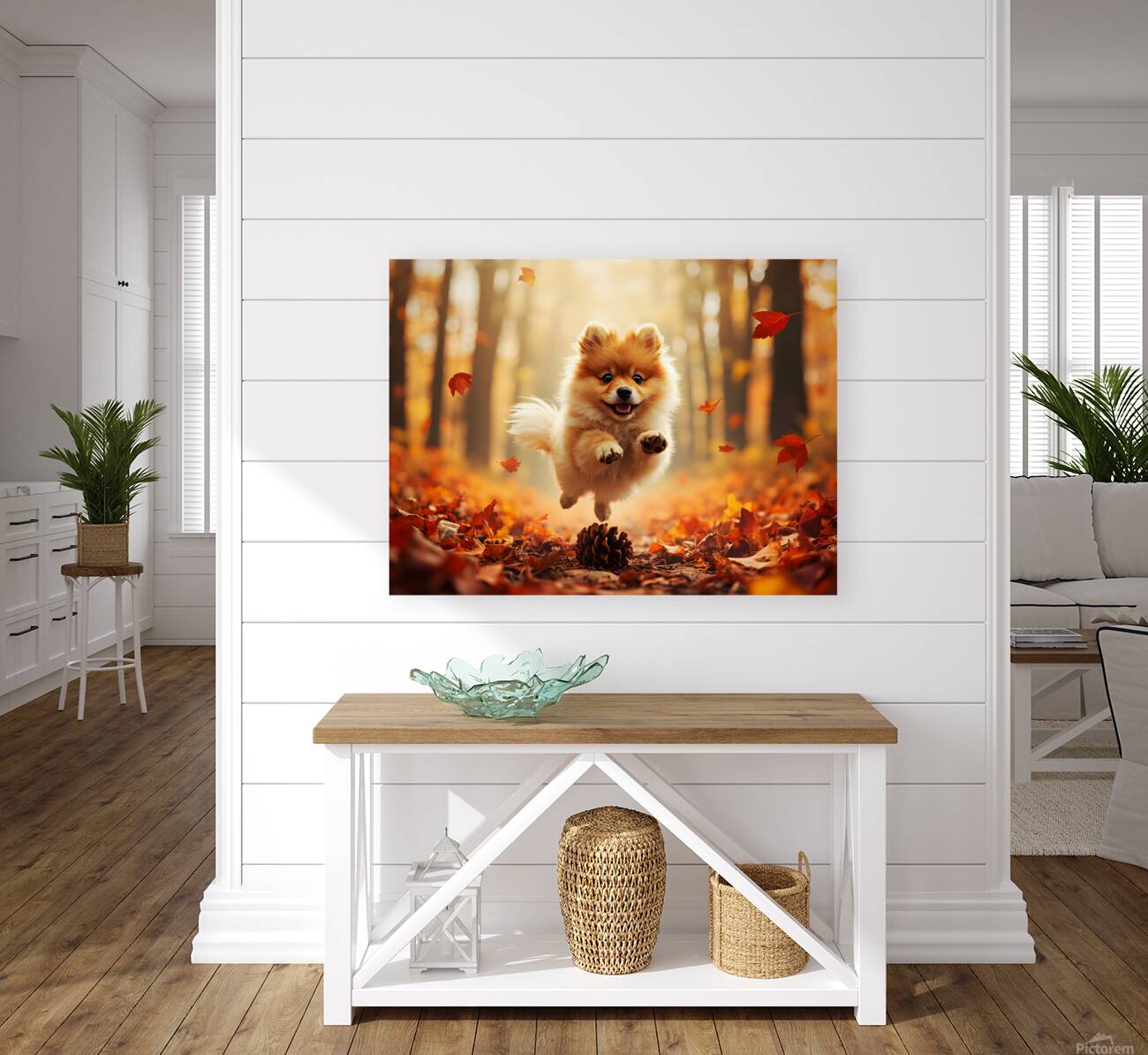 Pomeranian Puppy Carries Pinecone Through Forest Reproduction