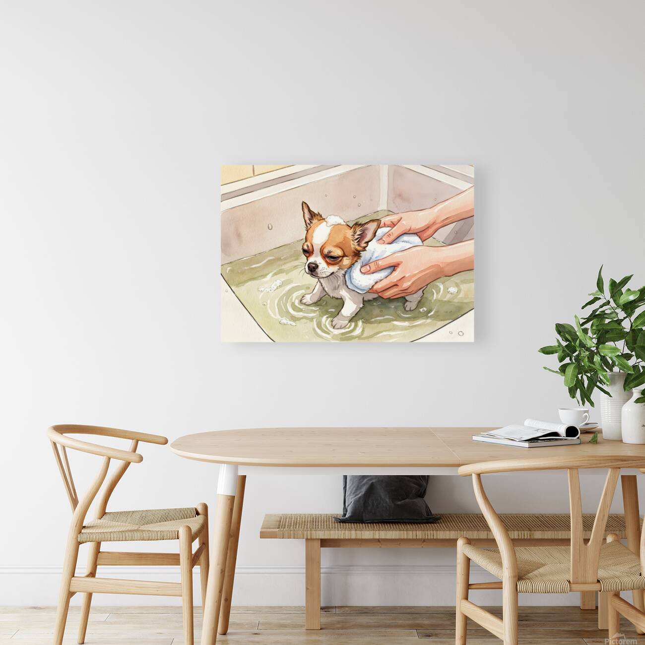 Clean And Happy Chihuahua Puppy After Bath Reproduction