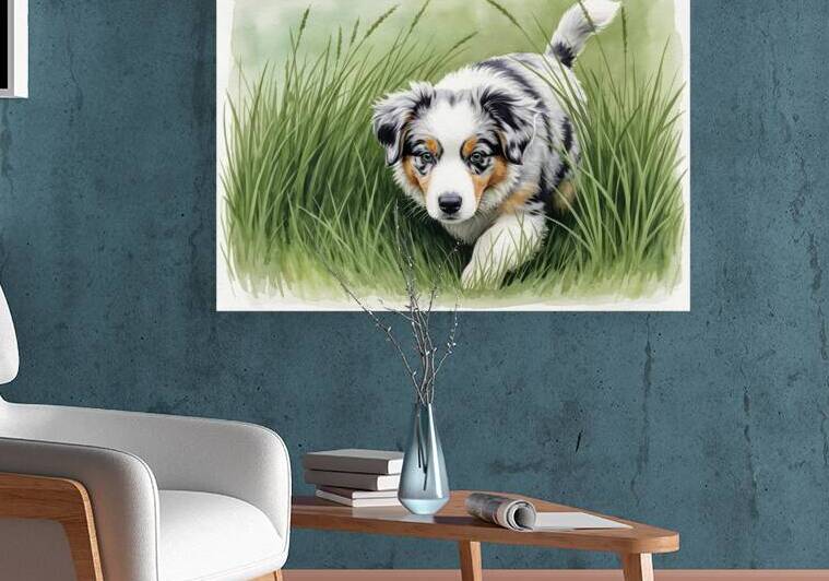 Blue Merle Australian Shepherd Puppy Searches Through Tall Grass by Puppy Prints