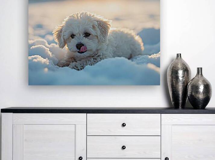 Content White Bichon Frise Puppy Resting After Snow Play Session by Puppy Prints